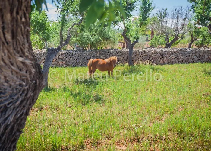 Feriehus Mit 5 Schlafzimmern Und Pool Auf Dem Lande By Interhome *