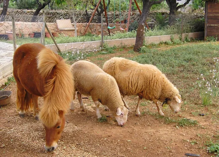 Mit 5 Schlafzimmern Und Pool Auf Dem Lande By Interhome Feriehus Santa Margalida
